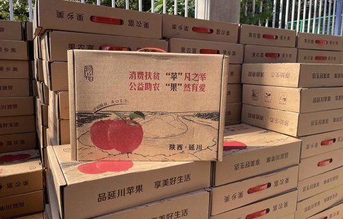 雷速“扶贫助农，振兴乡村”活动